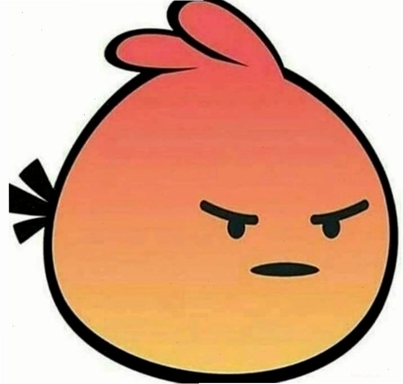 Meme chú mèo con với biểu cảm tức giận đáng yêu