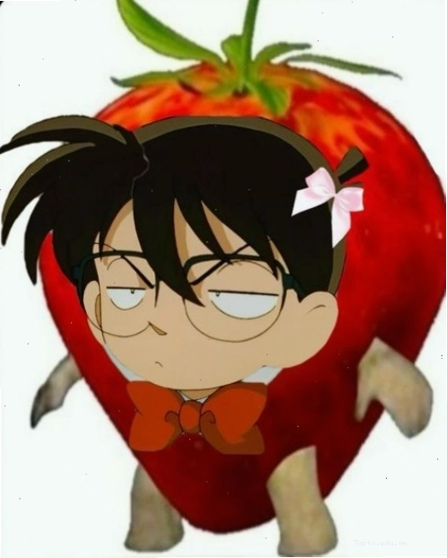 Meme Conan
