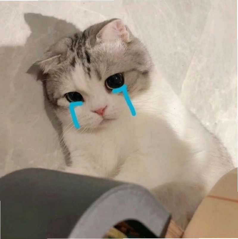 Meme cười ra nước mắt với tình huống éo le
