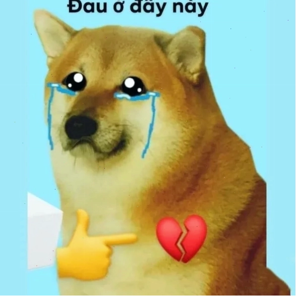 Meme đau tim với hình ảnh chú chó Shiba