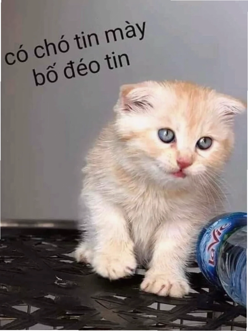 Meme đéo tin thể hiện sự ngạc nhiên trước thông tin mới