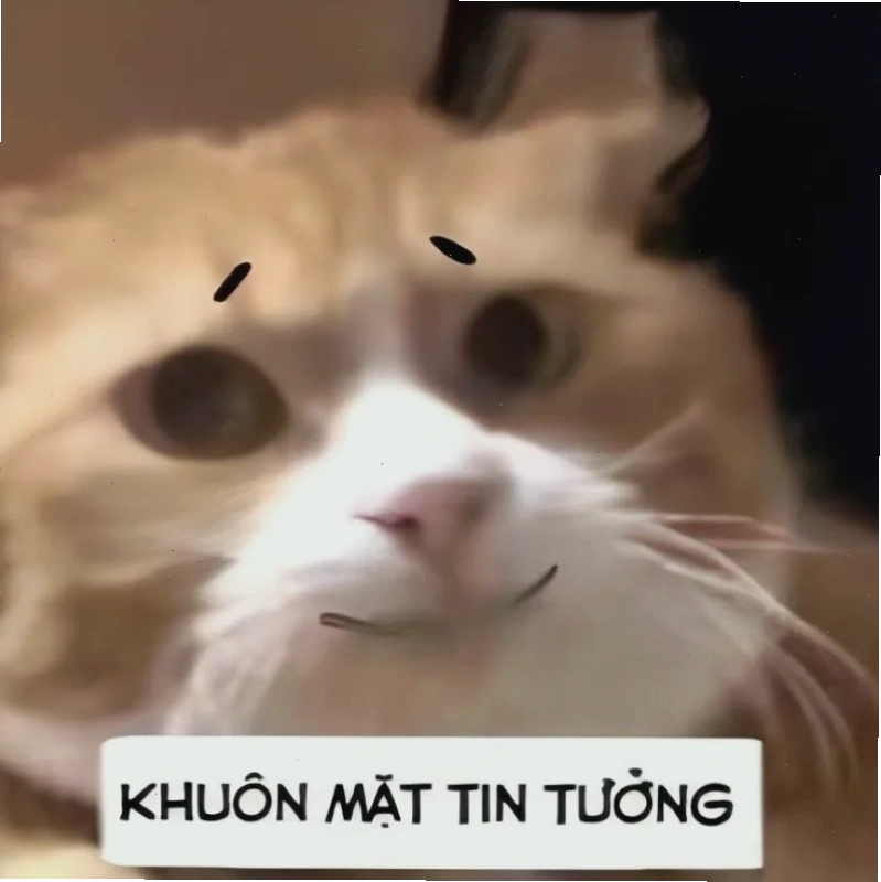 Meme đéo tin với thái độ châm biếm