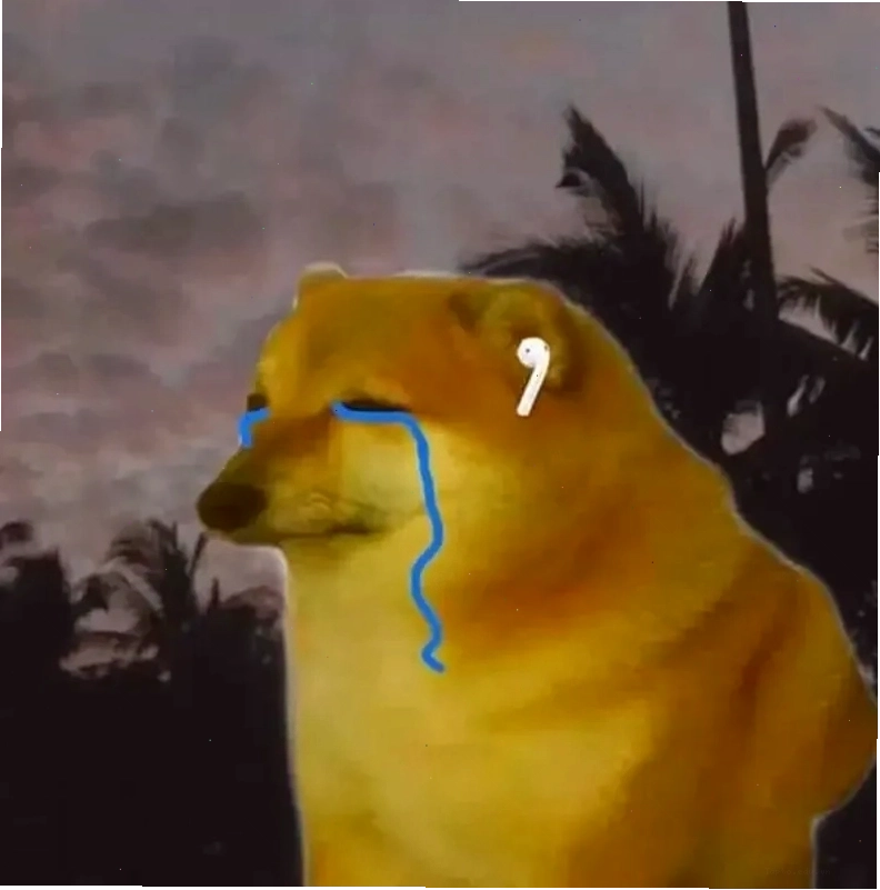 Meme Doge Cheems ngớ ngẩn và hài hước