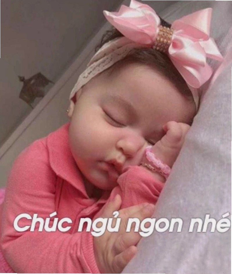 Meme động vật đáng yêu với lời chúc ngủ ngon