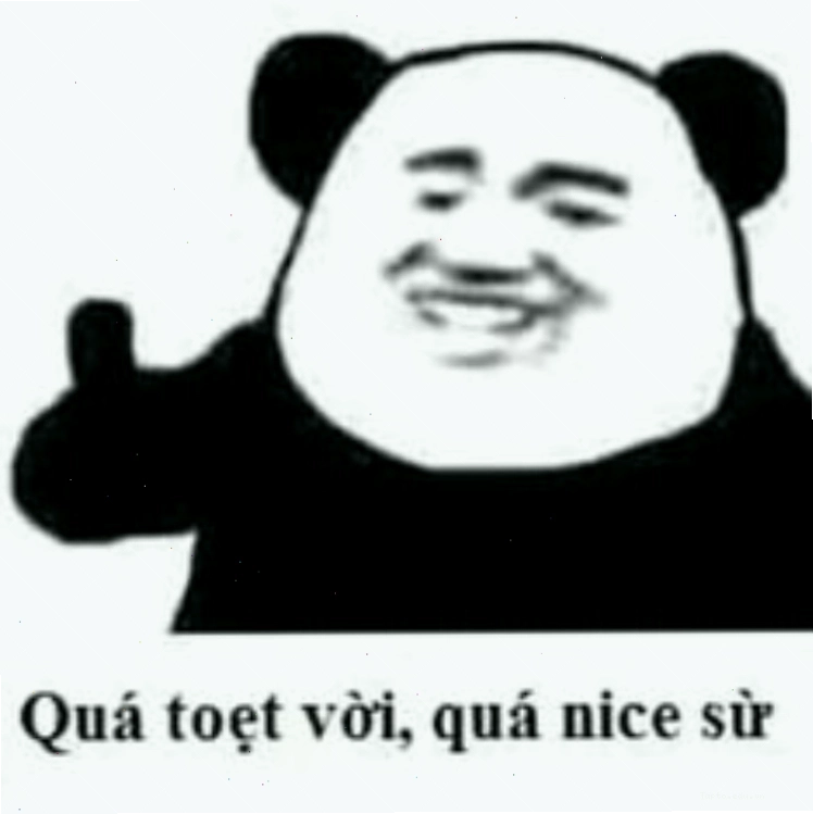 Meme gấu trúc thú vị