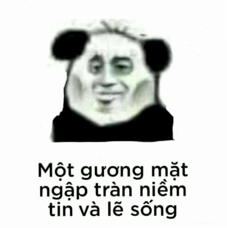 Meme gấu trúc vui nhộn