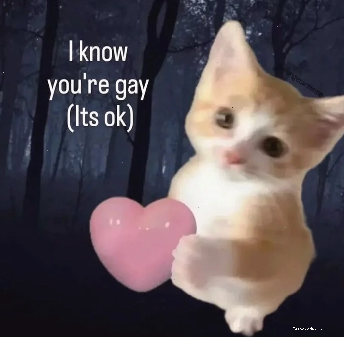 Meme gay với biểu cảm đơ