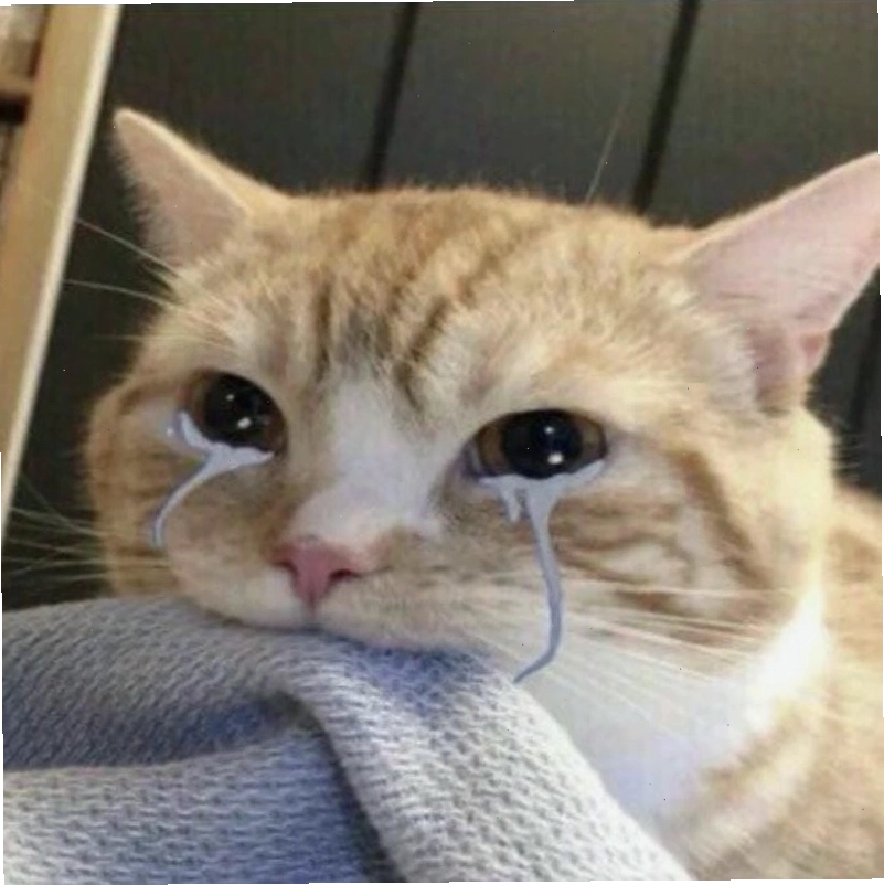 Meme khóc cười thể hiện sự buồn bã