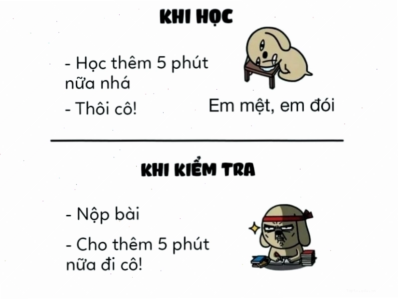 Meme: Meme 5 phút khi học và khi kiểm tra
