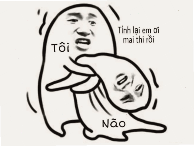Meme: Meme não tôi khi mai thi
