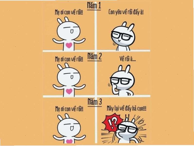Meme: Meme thái độ phụ huynh 3 năm đại học với con