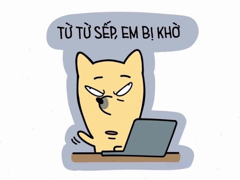 Meme: Meme từ từ sếp, em bị khờ