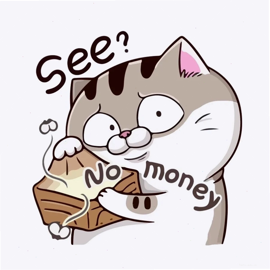Meme nghèo với hình ảnh mèo bụng bự, thể hiện sự thiếu thốn