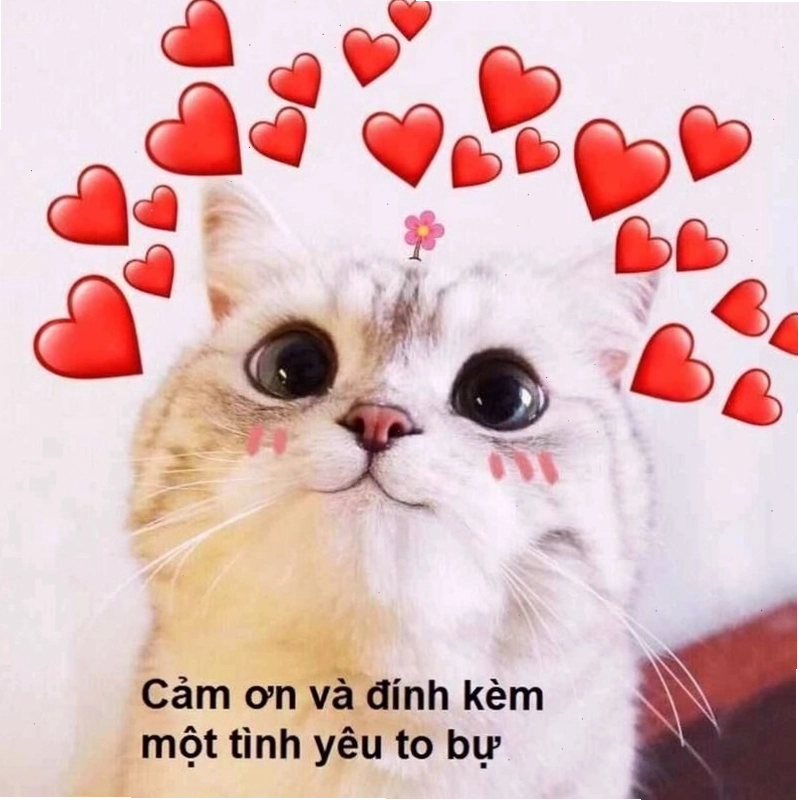 Meme tình yêu dễ thương gửi gắm thông điệp