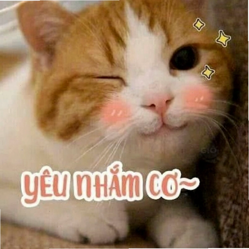 Meme tình yêu dễ thương với hình ảnh động vật