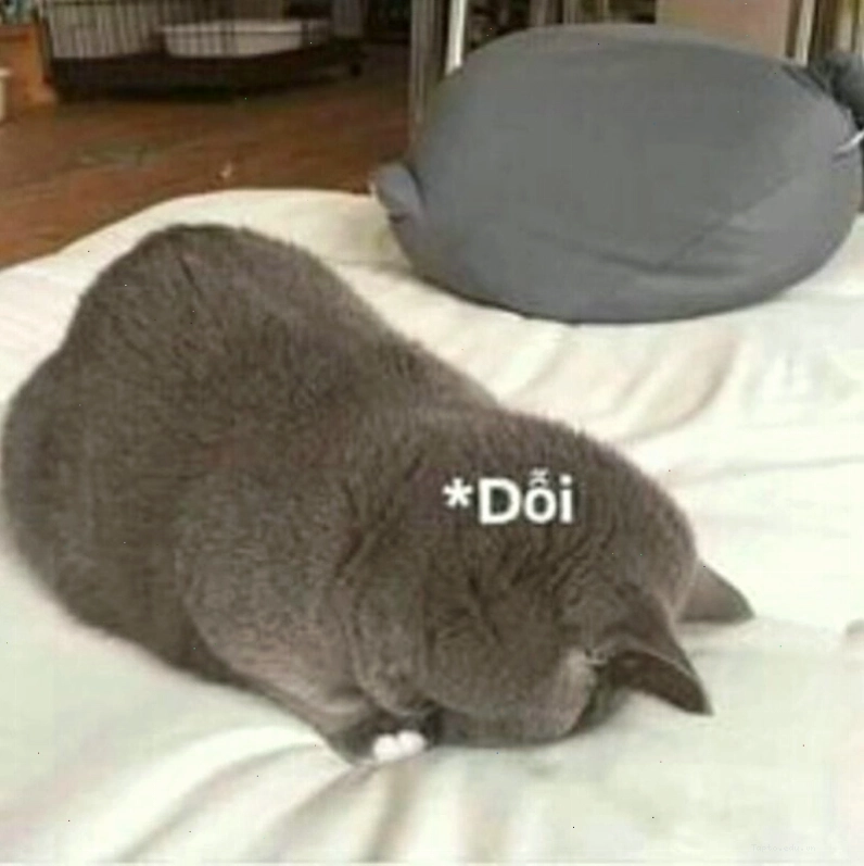 Meme tình yêu minh họa sự quan tâm chu đáo