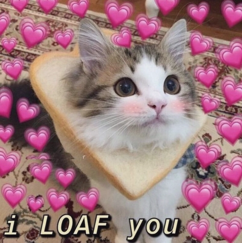 Meme tình yêu thể hiện sự gắn kết ngọt ngào giữa hai người