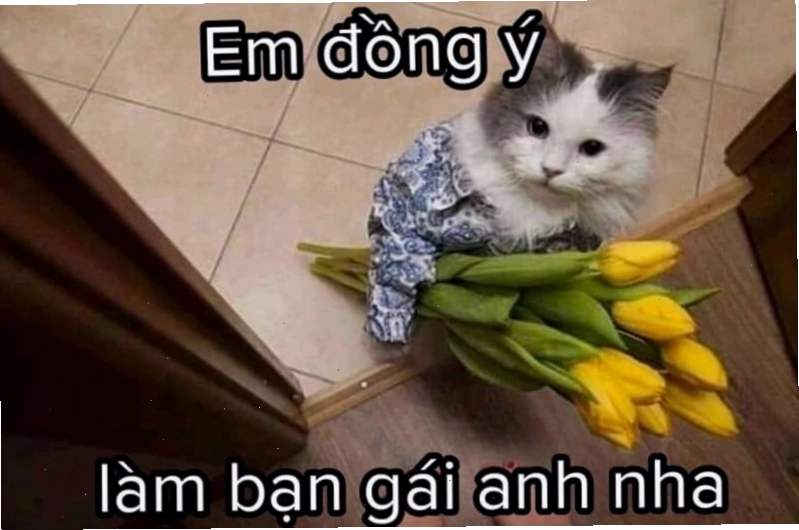 Meme tình yêu thể hiện sự suy tư