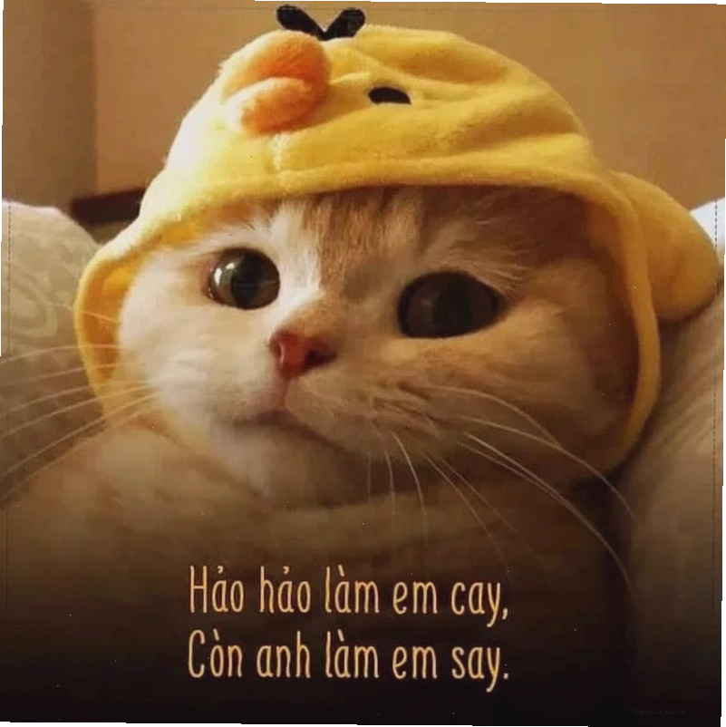 Meme tình yêu với gam màu trầm lắng