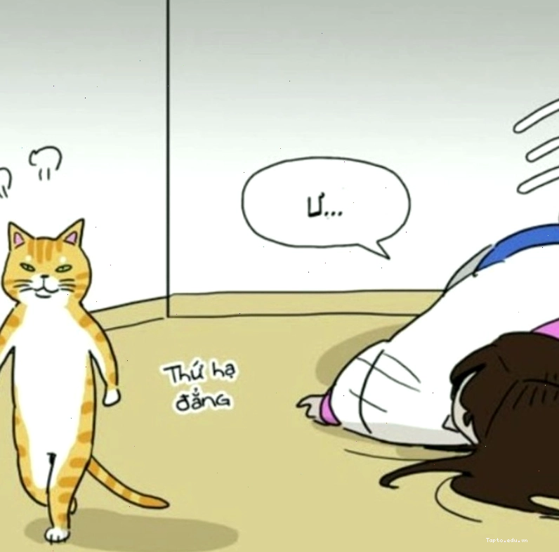 Meme tức giận kết hợp nét dễ thương và yêu cầu