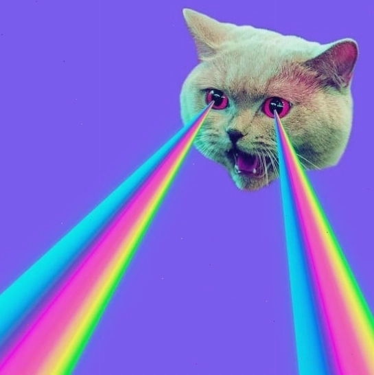 Mèo với ánh mắt laser cầu vồng, ảnh chế meme độc đáo