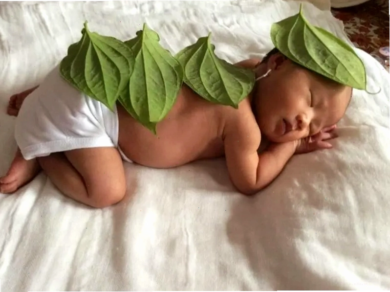 Mèo xin lỗi đáng yêu