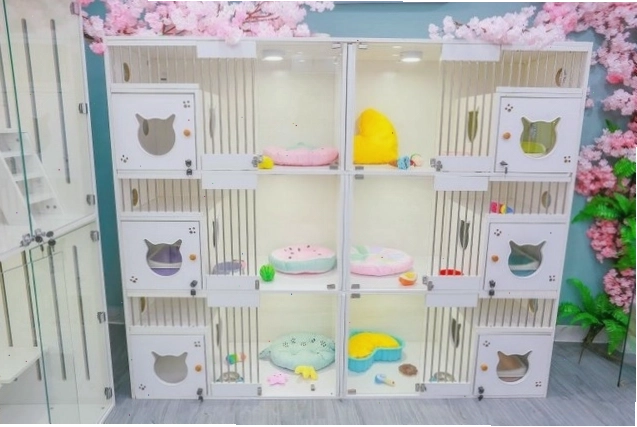 Nhà nghỉ thú cưng tấp nập trong các dịp lễ tết