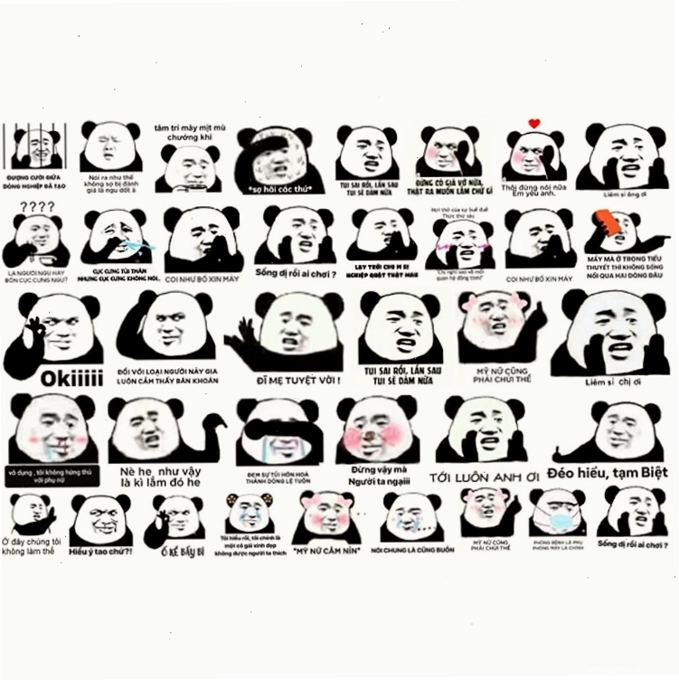 Nhiều meme gấu trúc hài hước khác nhau