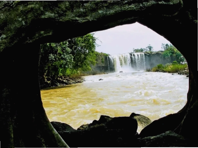 Nhóm du khách chuẩn bị đồ dùng cho chuyến trekking tại Chư Bluk