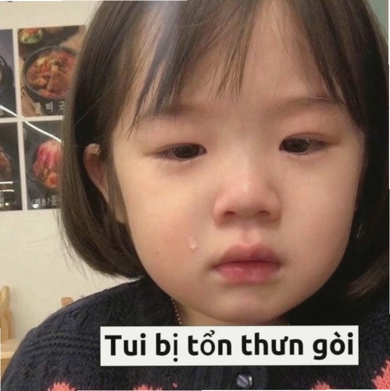 Những bức meme khóc ngộ nghĩnh và đáng yêu