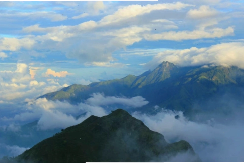 Ruộng bậc thang Sapa nhìn từ trên cao