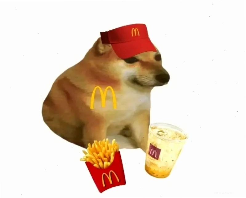 Sad dog meme với biểu cảm dễ thương gây cảm xúc lẫn lộn
