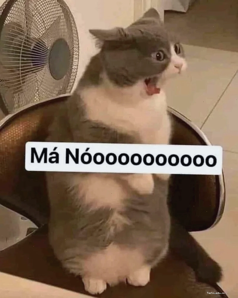 Tận hưởng bộ sưu tập ảnh meme chửi siêu bá đạo