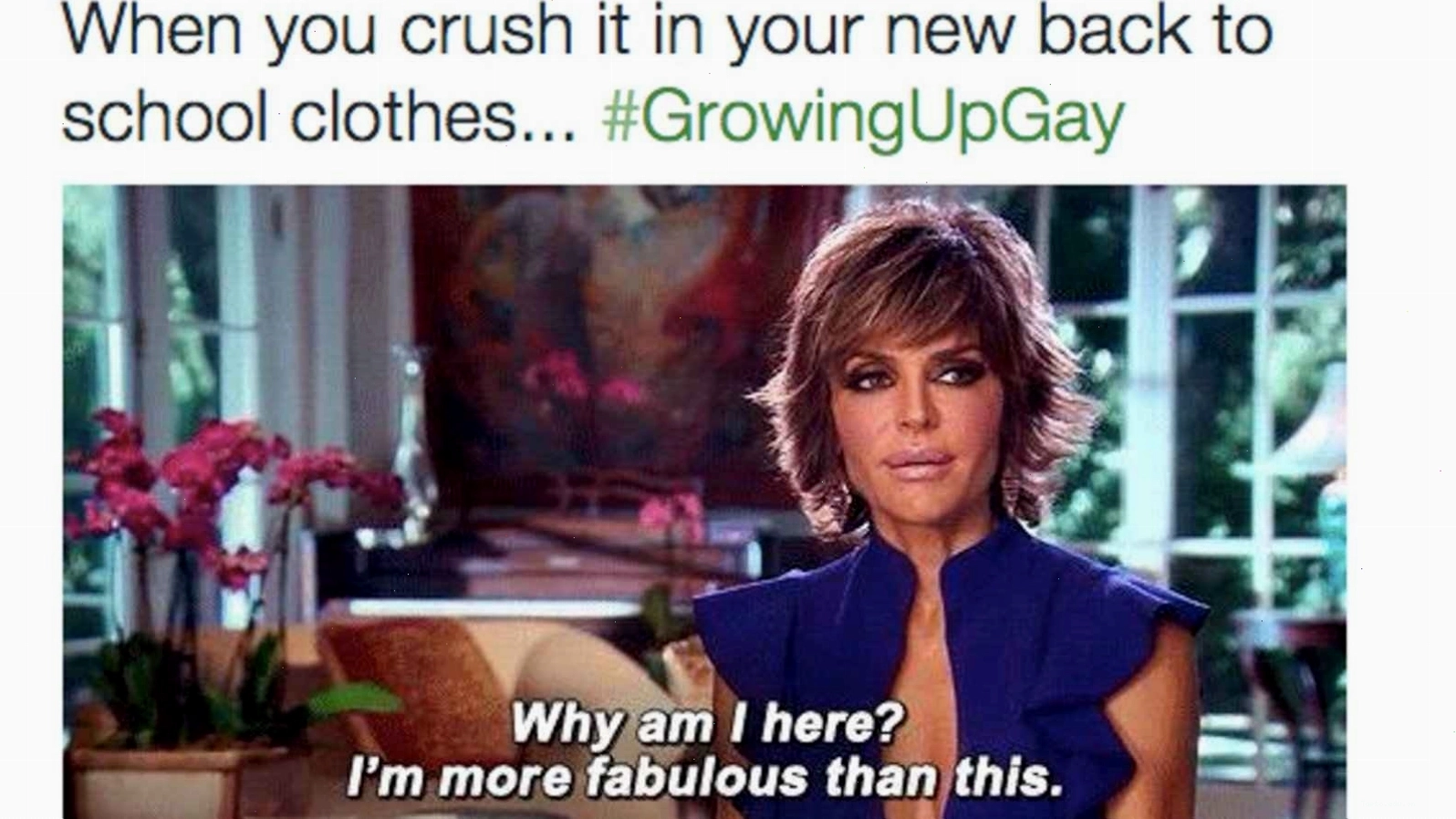 The growing up gay meme