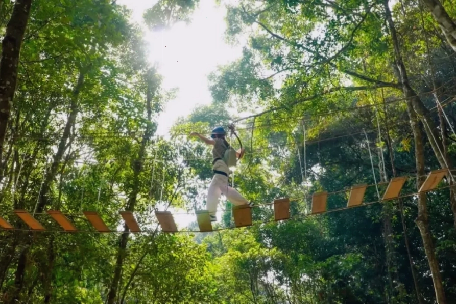 Thử thách bản thân với trò chơi High Rope Park mạo hiểm
