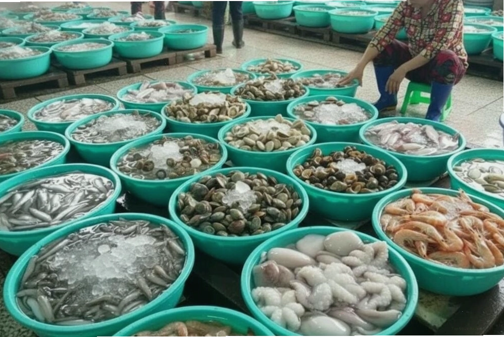 Thưởng thức hải sản tươi ngon tại chợ địa phương ở Biển Quất Lâm