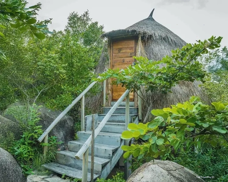 Tổ Chim Bungalow lãng mạn tại khu du lịch sinh thái Sao Biển