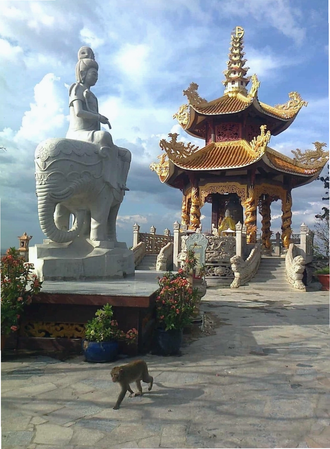 Toàn cảnh núi Châu Thới với cây cối xanh tươi