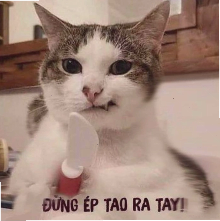 Tổng hợp meme tức giận với biểu cảm hài hước và dễ thương