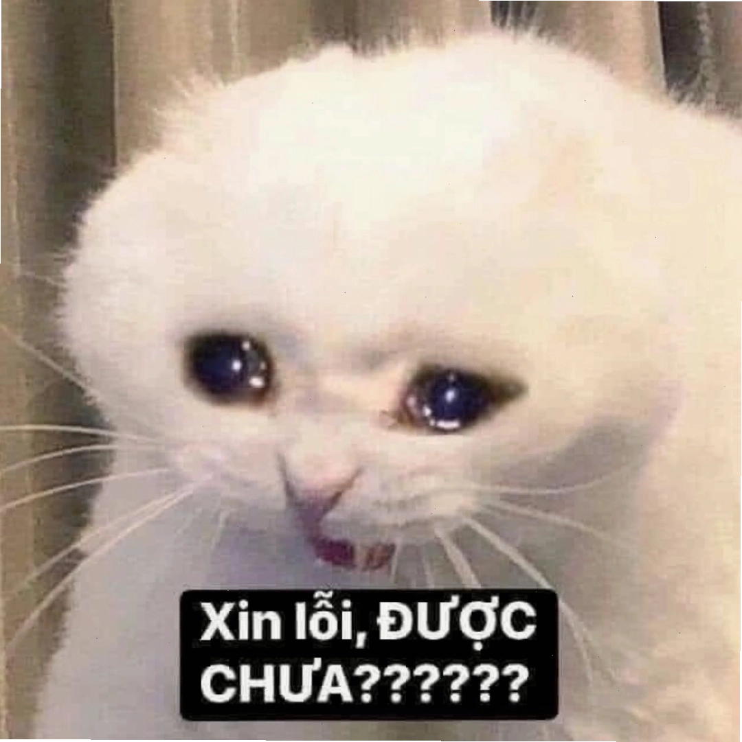 Tổng hợp meme xin lỗi đáng yêu, hài hước nhất