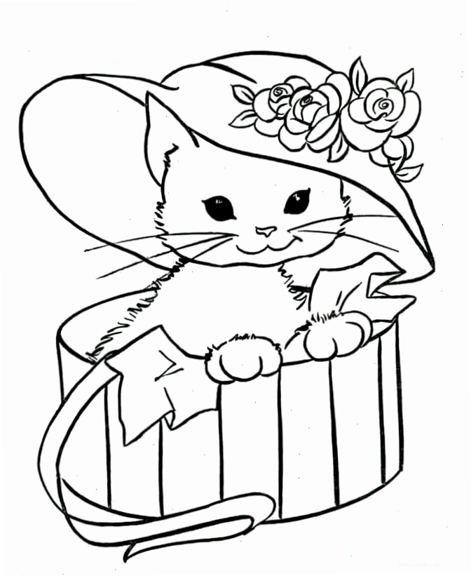 Tranh tô màu con mèo cute với biểu cảm ngộ nghĩnh