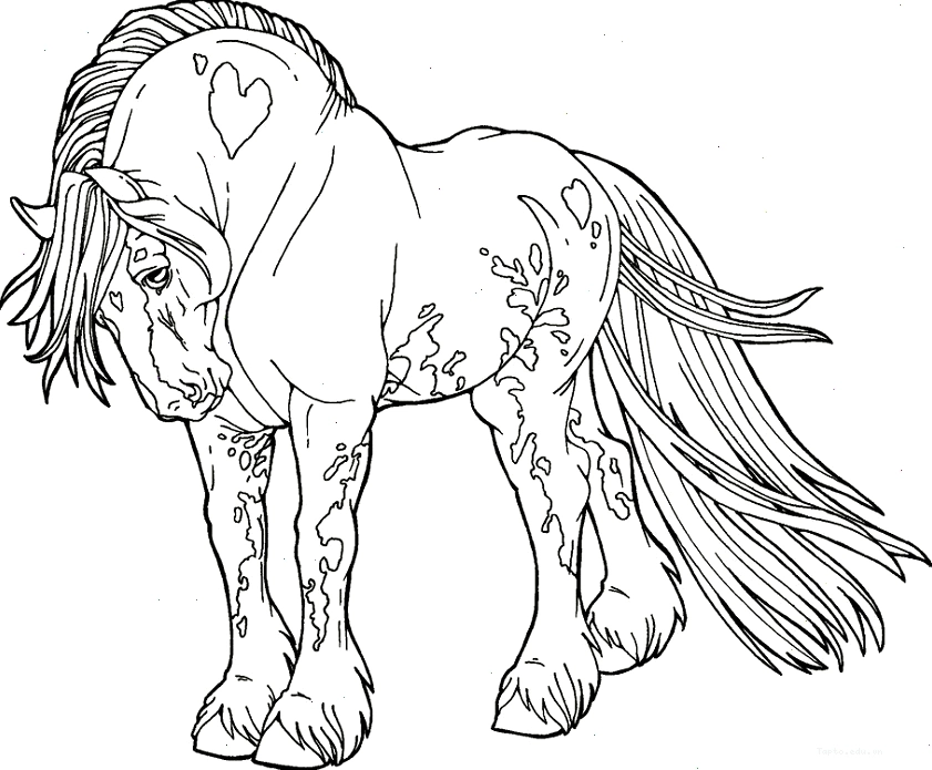 Tranh tô màu con ngựa mustang hoang dã đang phi nước đại