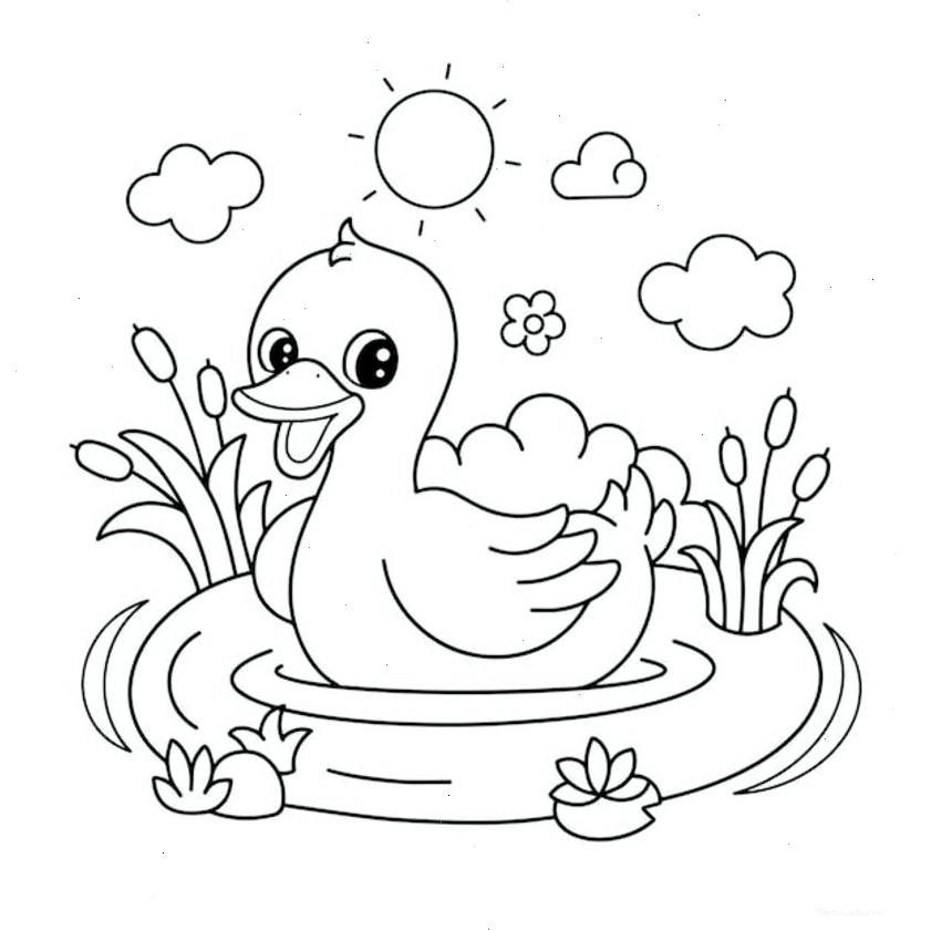 Tranh tô màu con vịt theo chủ đề mùa hè