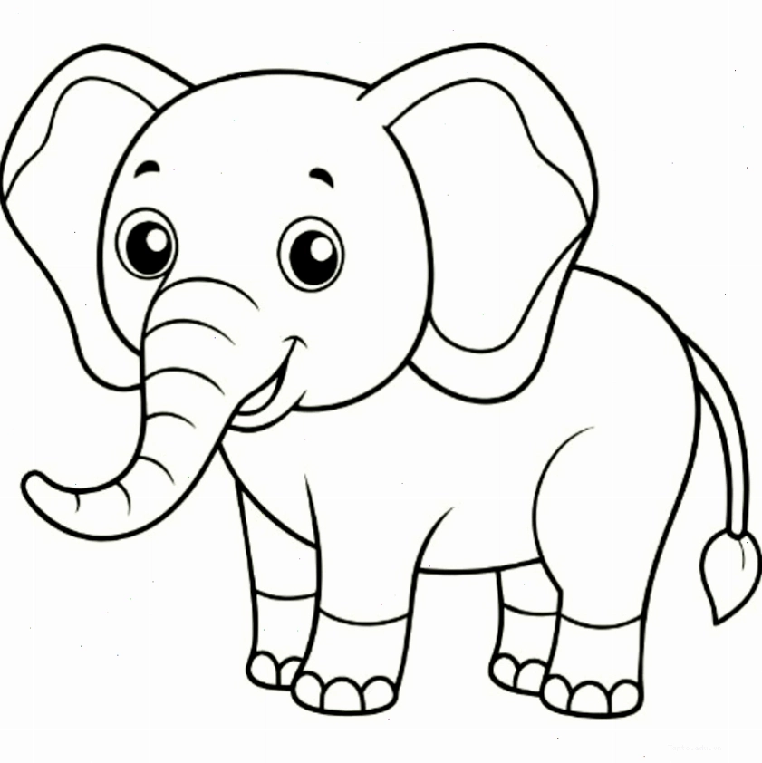 Tranh tô màu con voi kết hợp với họa tiết xương rồng sáng tạo