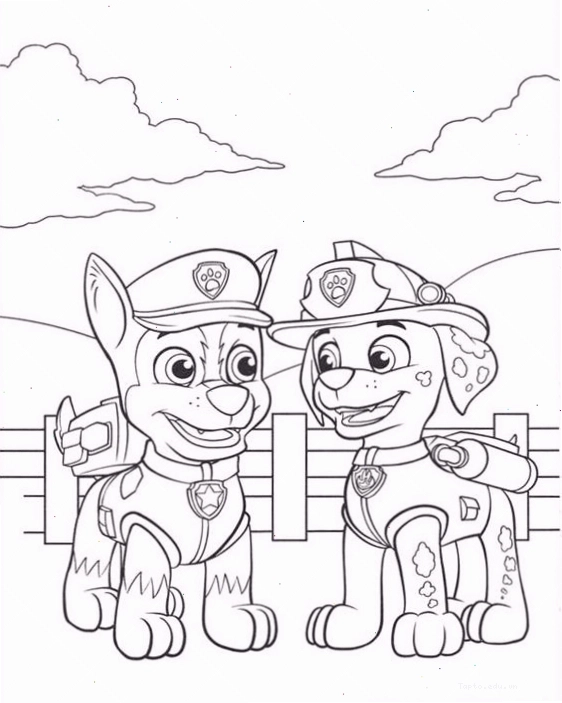 Tranh tô màu những chú chó cứu hộ Paw Patrol trong cuộc giải cứu
