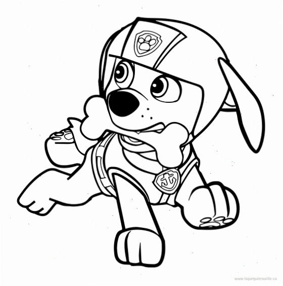 Tranh tô màu những chú chó cứu hộ Paw Patrol với nhiều nhân vật