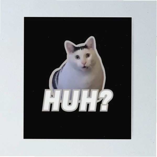 Tranh treo tường Huh Cat Meme
