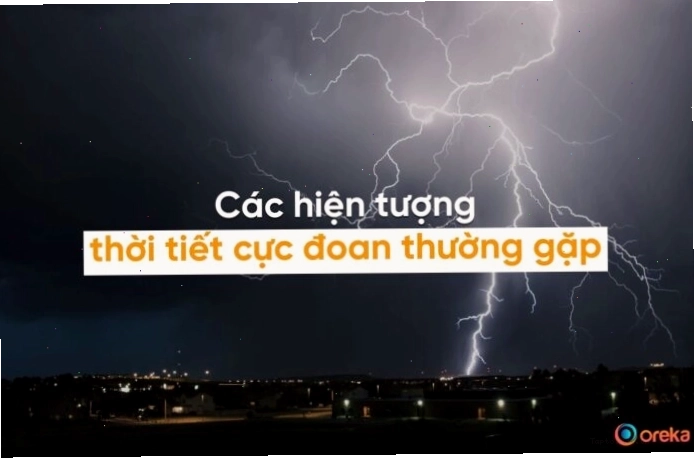 Tác động của thời tiết cực đoan đến sức khỏe và hệ sinh thái