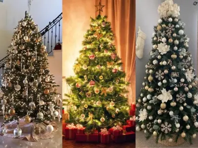 Cây thông Noel - Biểu tượng Giáng Sinh lung linh và rực rỡ