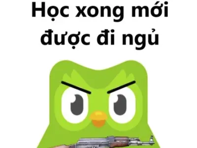 Tổng hợp những ảnh Duolingo meme khiến bạn bật cười